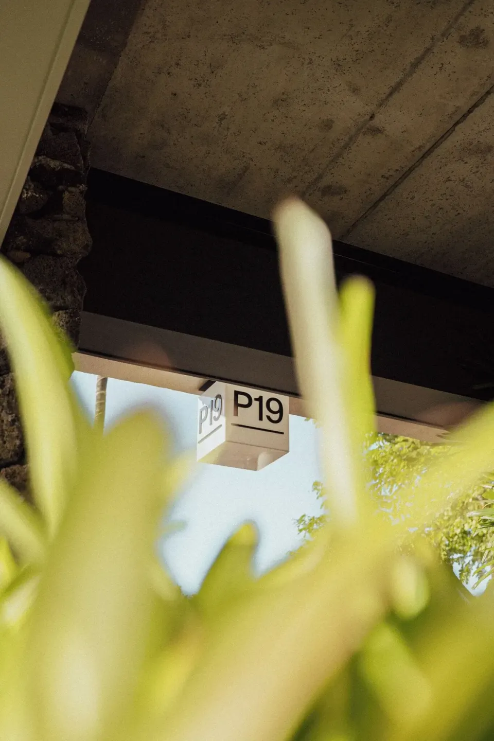P19 exterior sign seen through tropical foliage at PACIFIC 19 Kona.