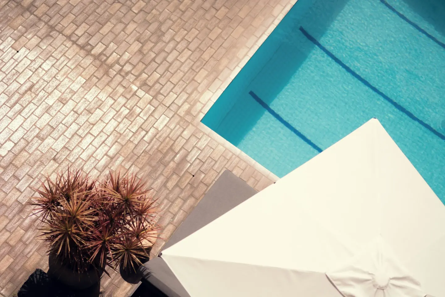 Overhead view of pool water, brick deck, umbrella, and potted plants at PACIFIC 19 Kona.