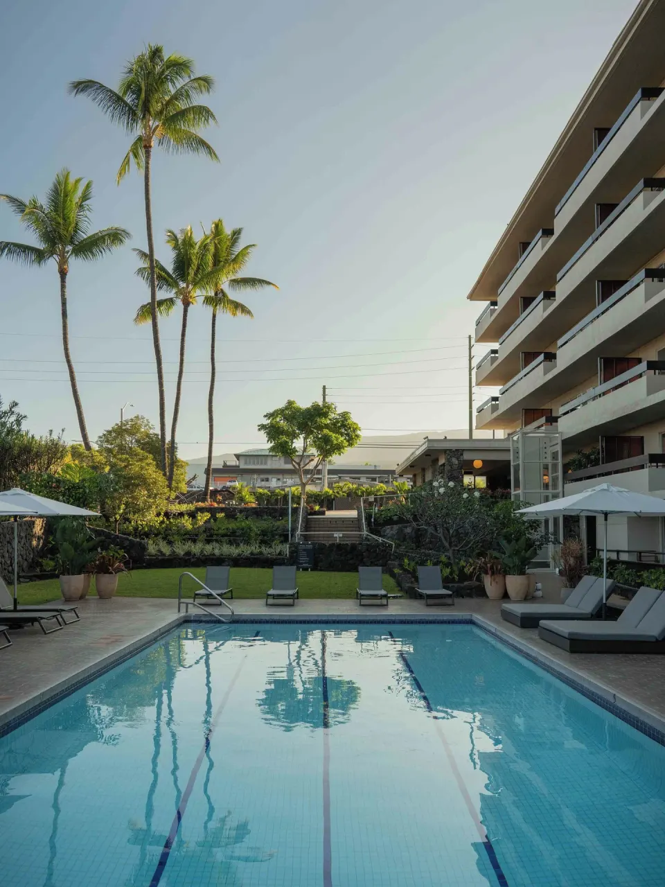 Resort pool with palm trees, lounge chairs, umbrellas, and balconies at PACIFIC 19 Kona.