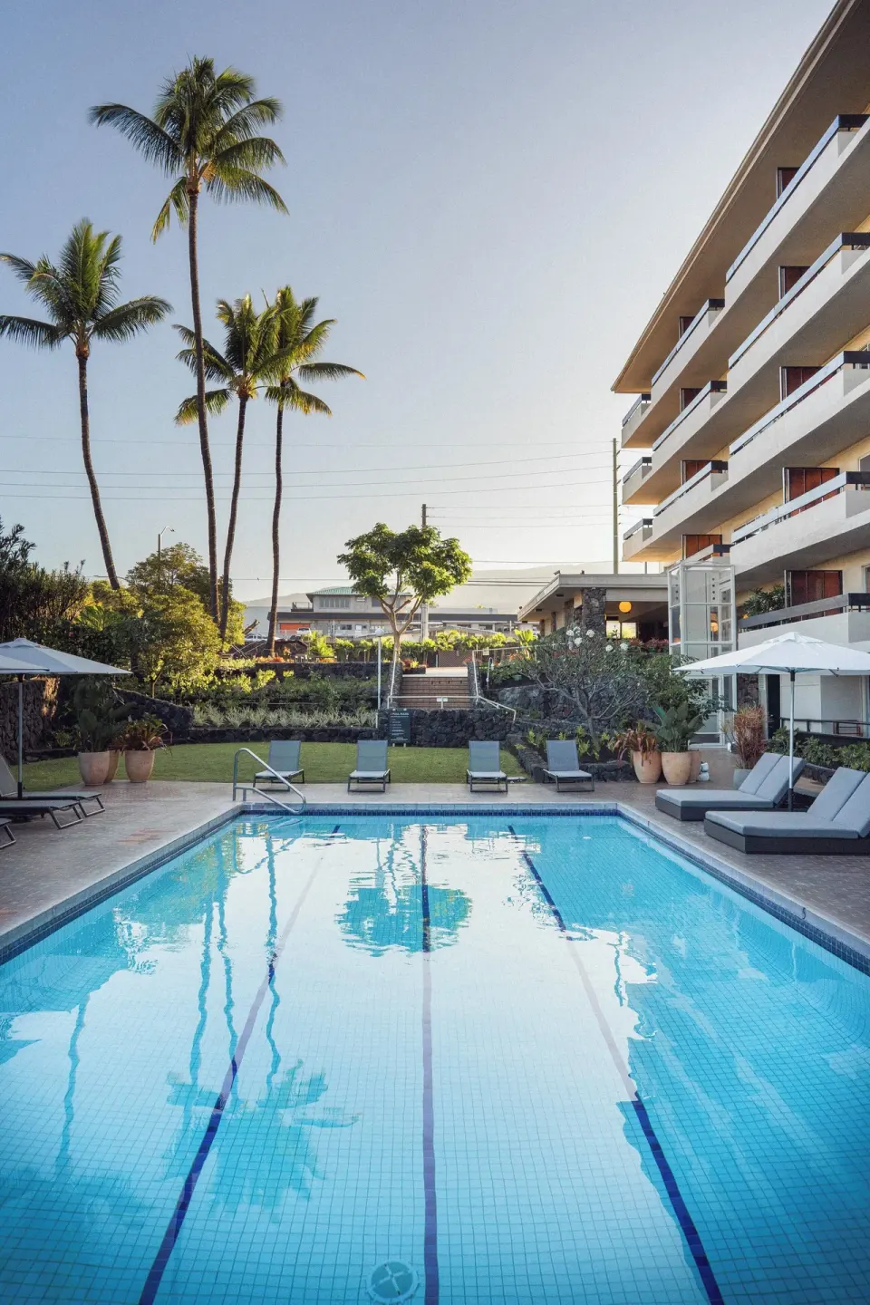 Pool with lounge chairs, umbrellas, palms, and balconies at PACIFIC 19 Kona.