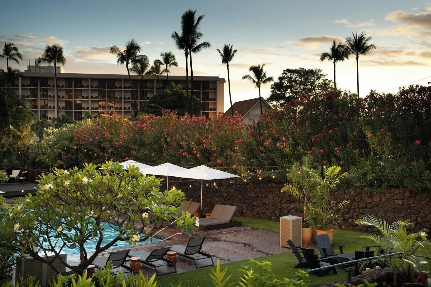 Pool garden with loungers, umbrellas, flowering shrubs, and palms at PACIFIC 19 Kona.