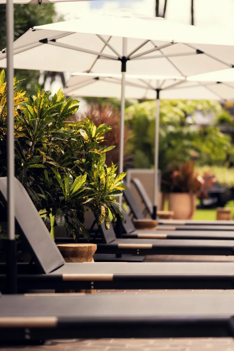 Close view of shaded pool loungers and tropical plants at PACIFIC 19 Kona.