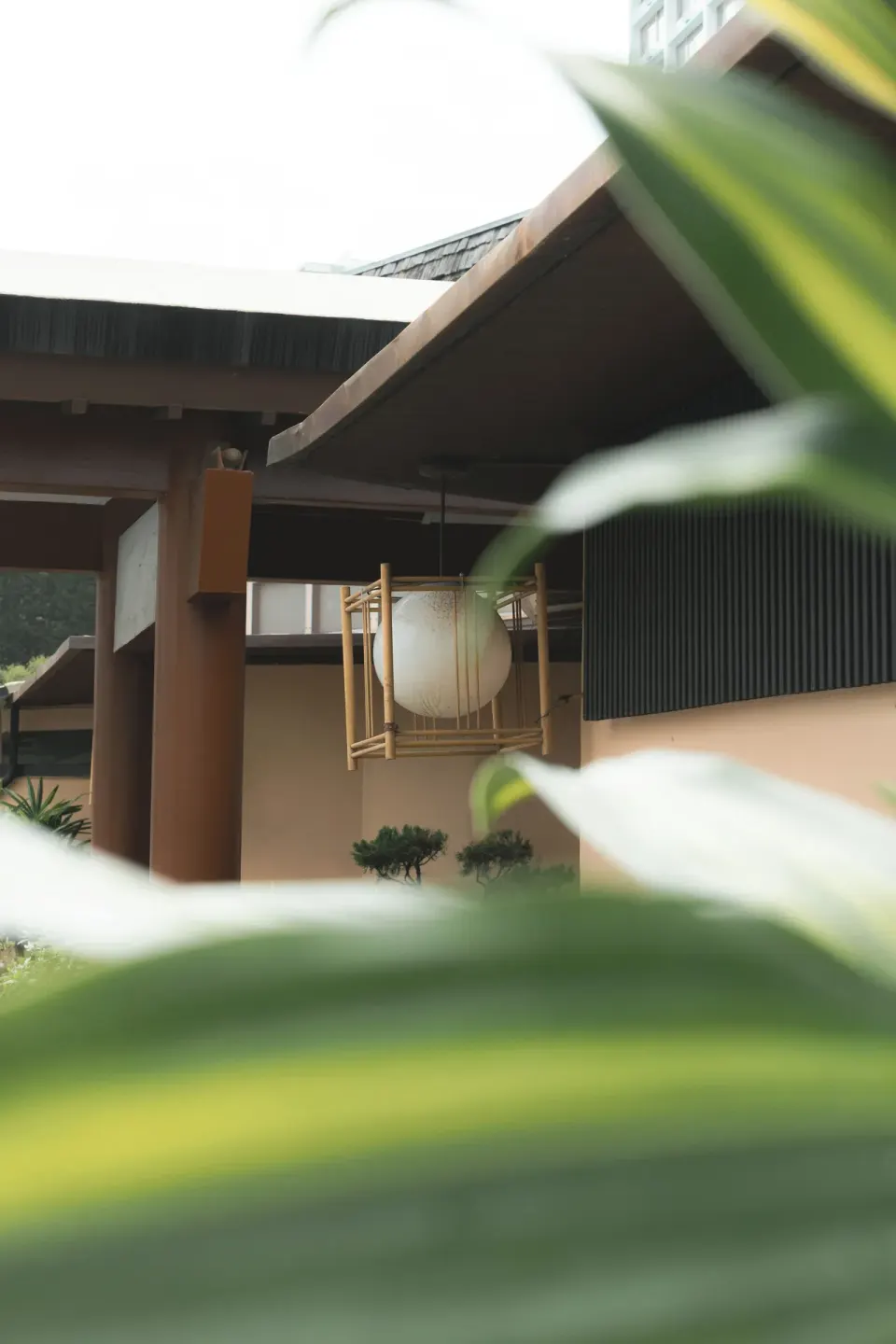 Hanging lantern and roofline seen through broad tropical leaves at Pagoda Hotel.