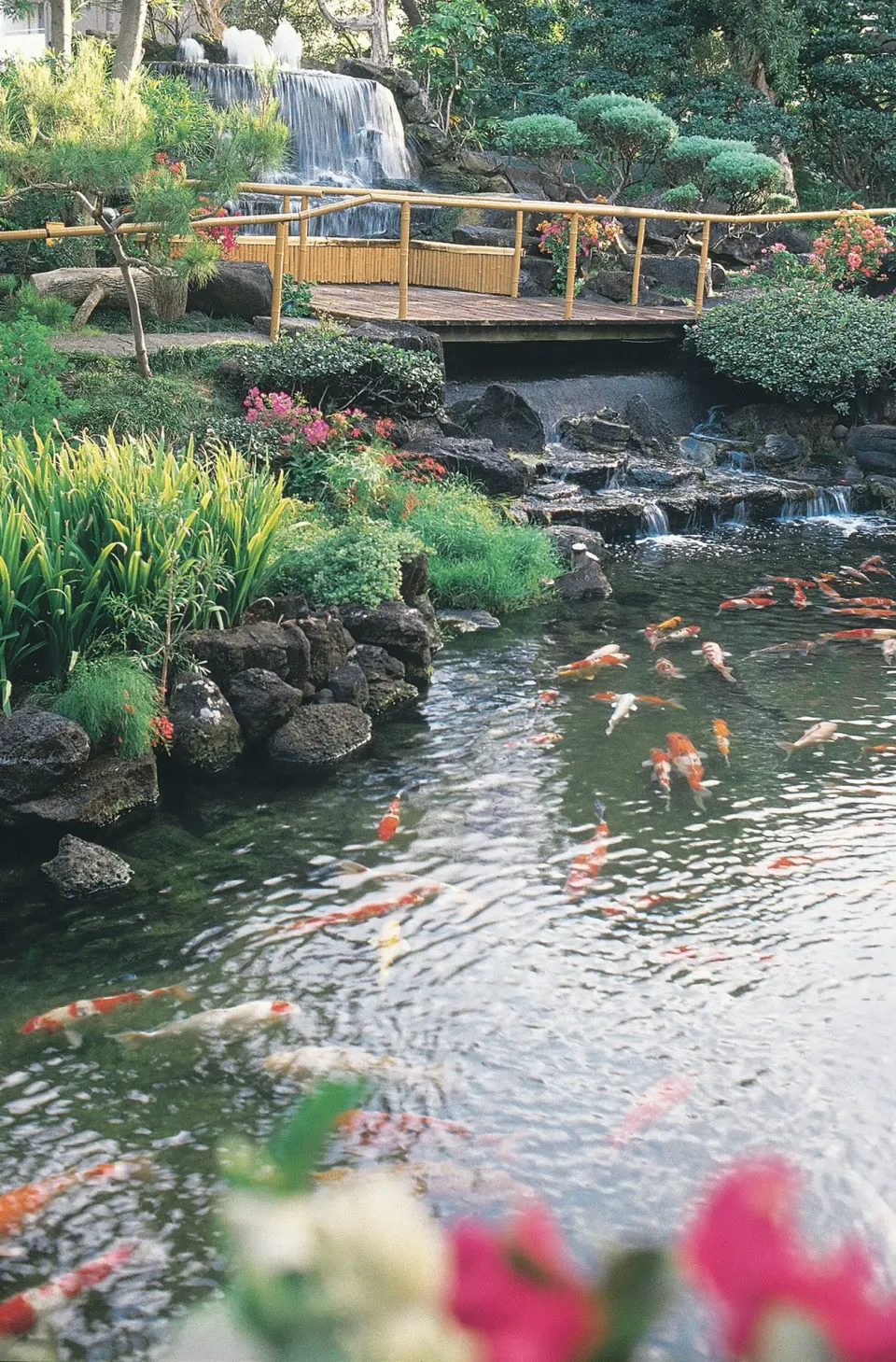 Koi pond with bridge, waterfall, rocks, and gardens at Pagoda Hotel.