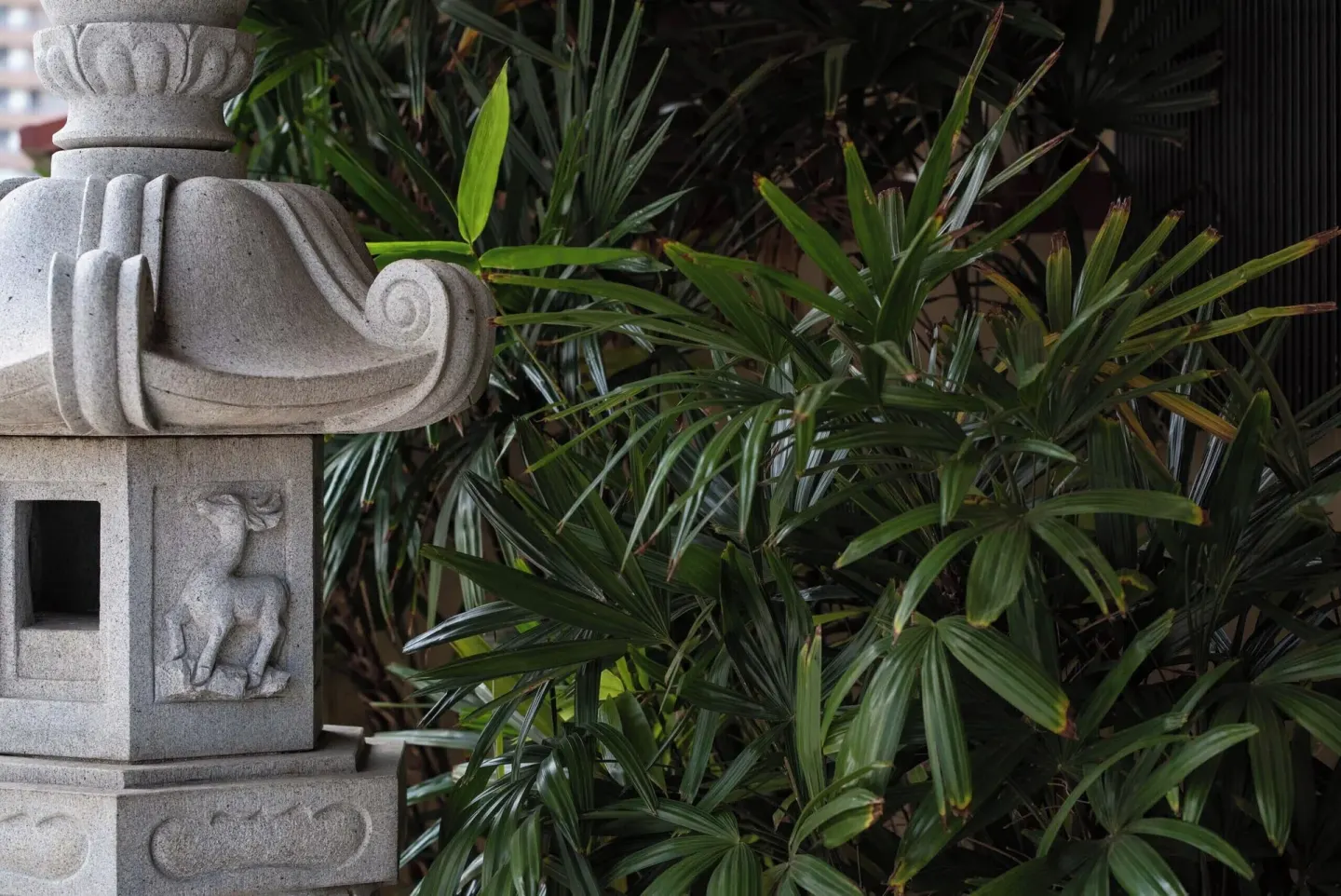 Stone garden lantern detail surrounded by tropical plants at Pagoda Hotel.