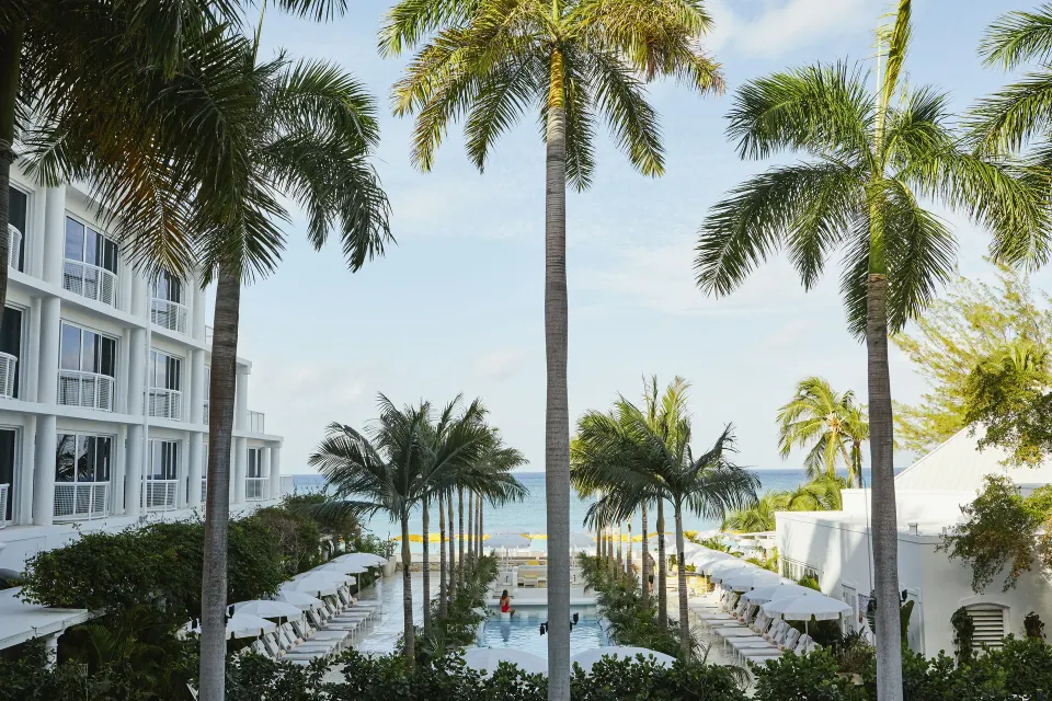 Palm-lined central pool with loungers leading to the sea at Palm Heights.