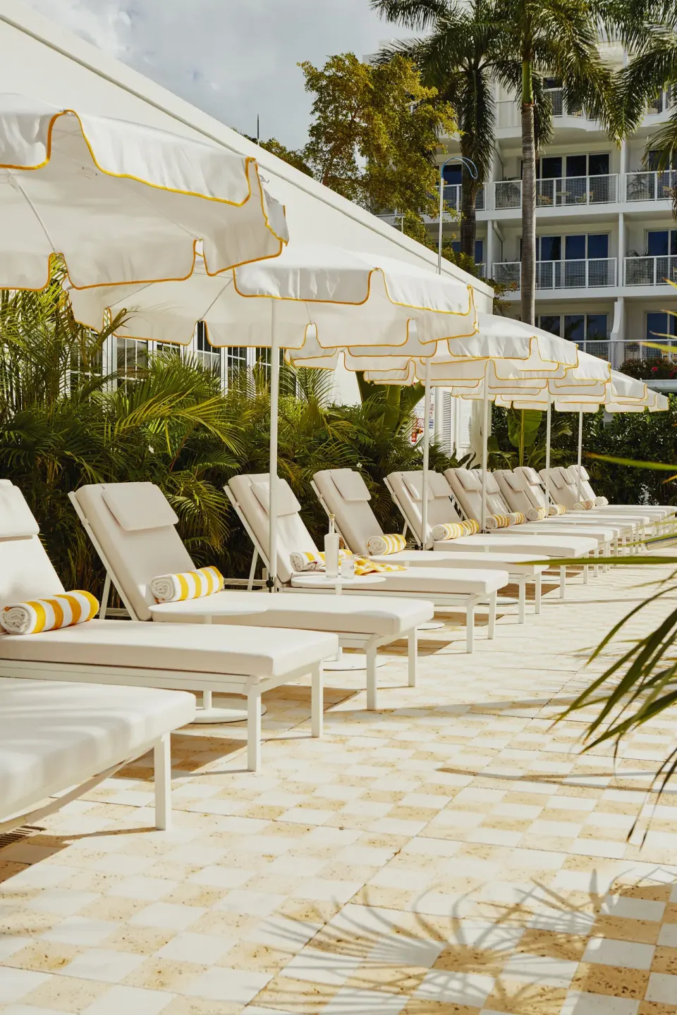 Row of white sun loungers and umbrellas on the Palm Heights pool deck.