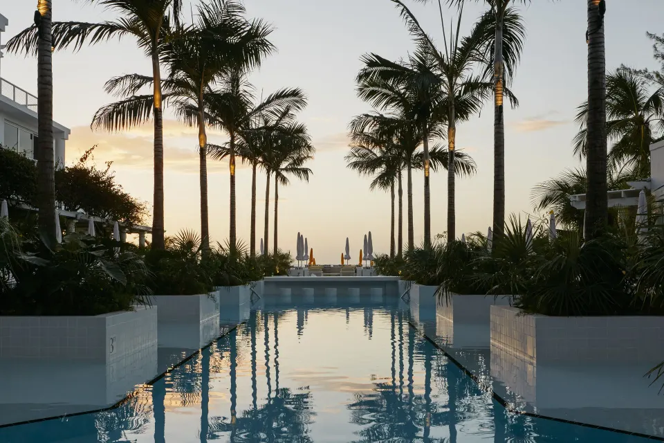 Sunset view down the reflecting pool framed by palm silhouettes at Palm Heights.