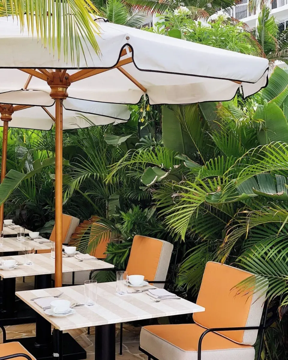 Patio tables with umbrellas and orange chairs beside dense palms at Palm Heights