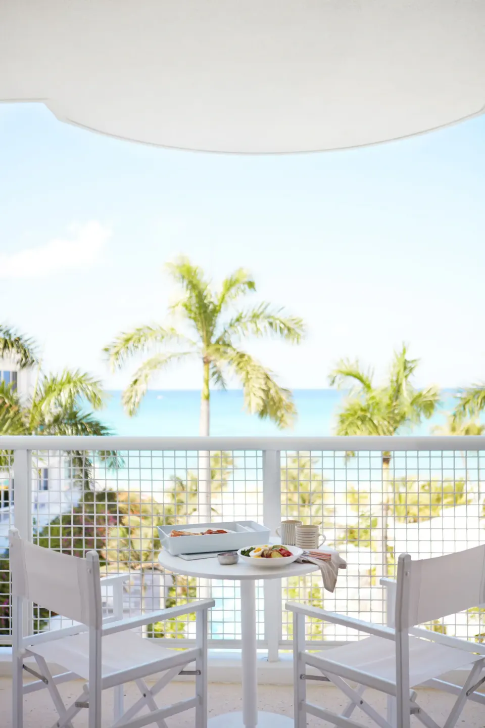 Balcony overlooking palm trees and ocean beyond from a Deluxe Suite at Palm Heights.