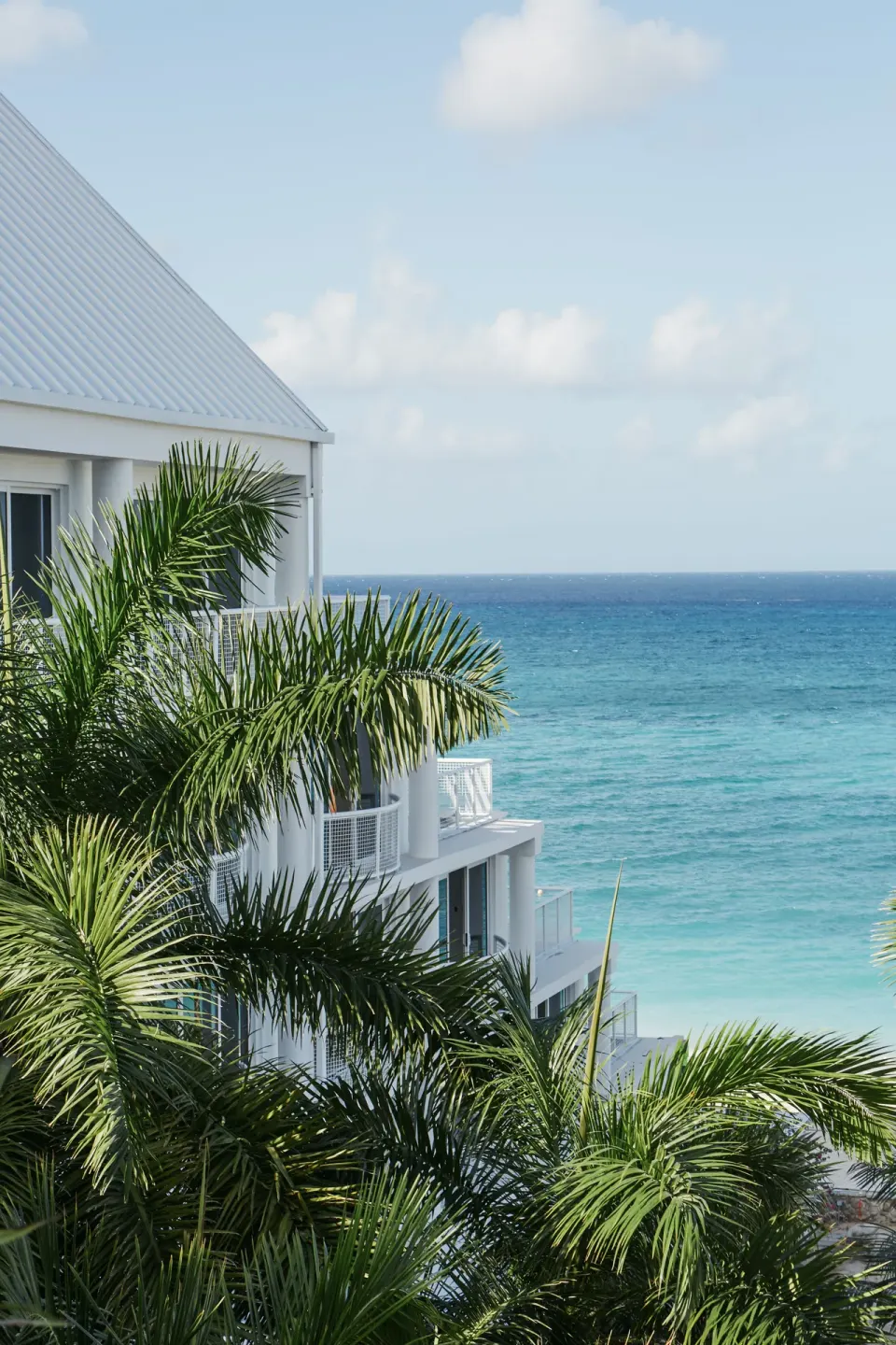 Ocean view with palm trees and hotel architecture at Palm Heights