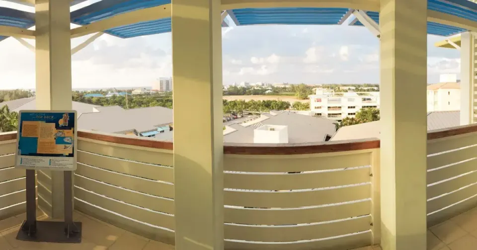 Camana Bay Observation Tower