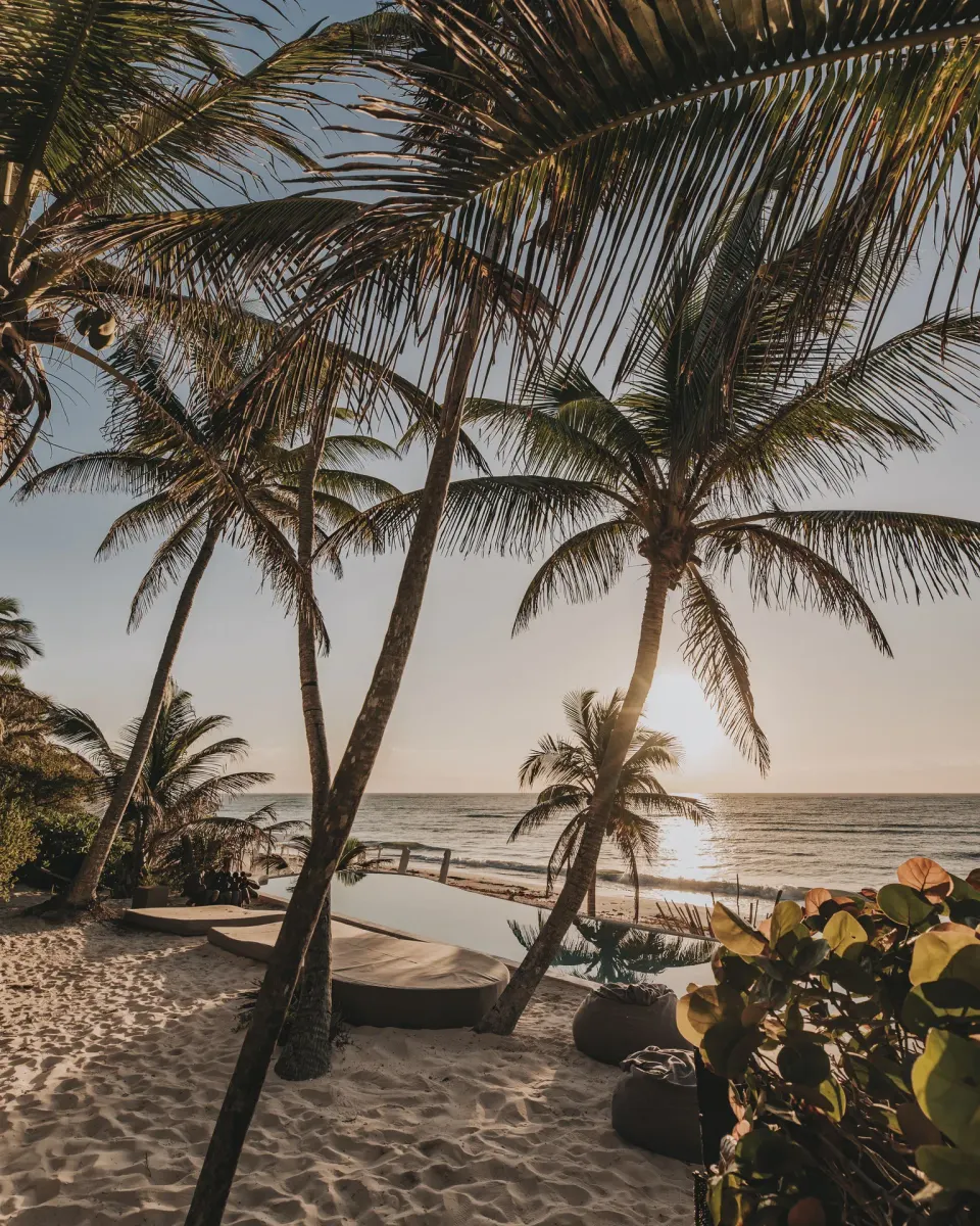 Sandy beach with palm trees, lounge beds and the ocean at Papaya Playa Project.