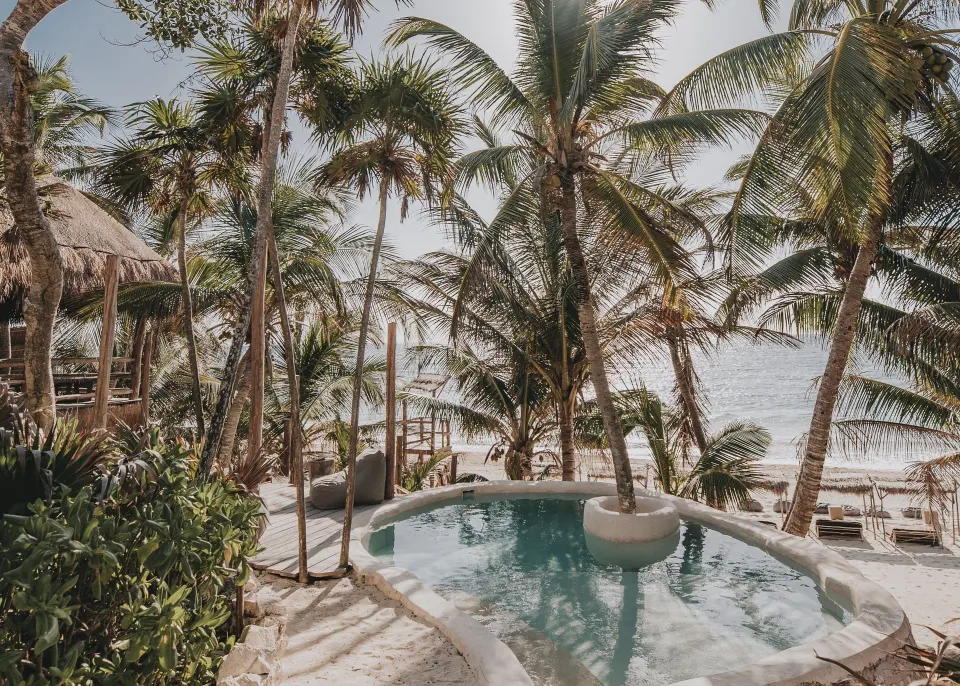 Small freeform pool surrounded by palm trees with ocean beyond at Papaya Playa Project
