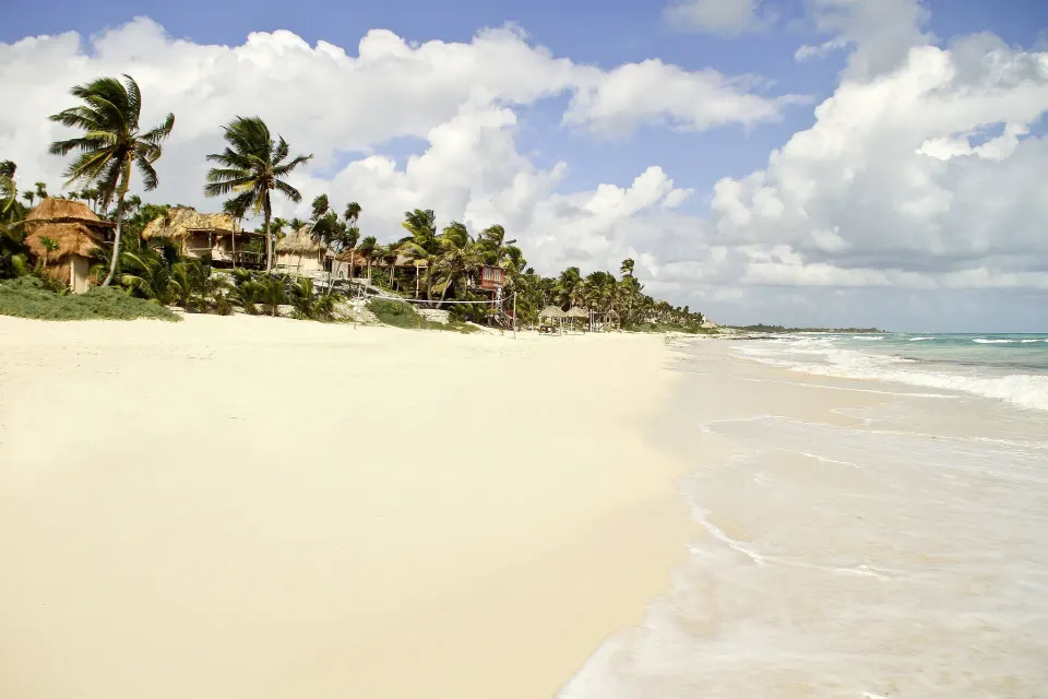 Sandy shoreline with palm-lined villas above the beach at Papaya Playa Project.