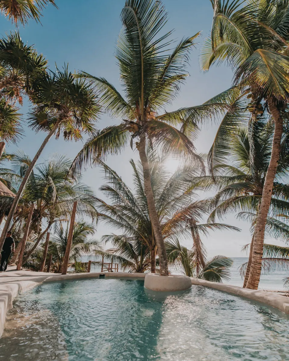 Curved beachfront pool with palm trees and ocean beyond at Papaya Playa Project