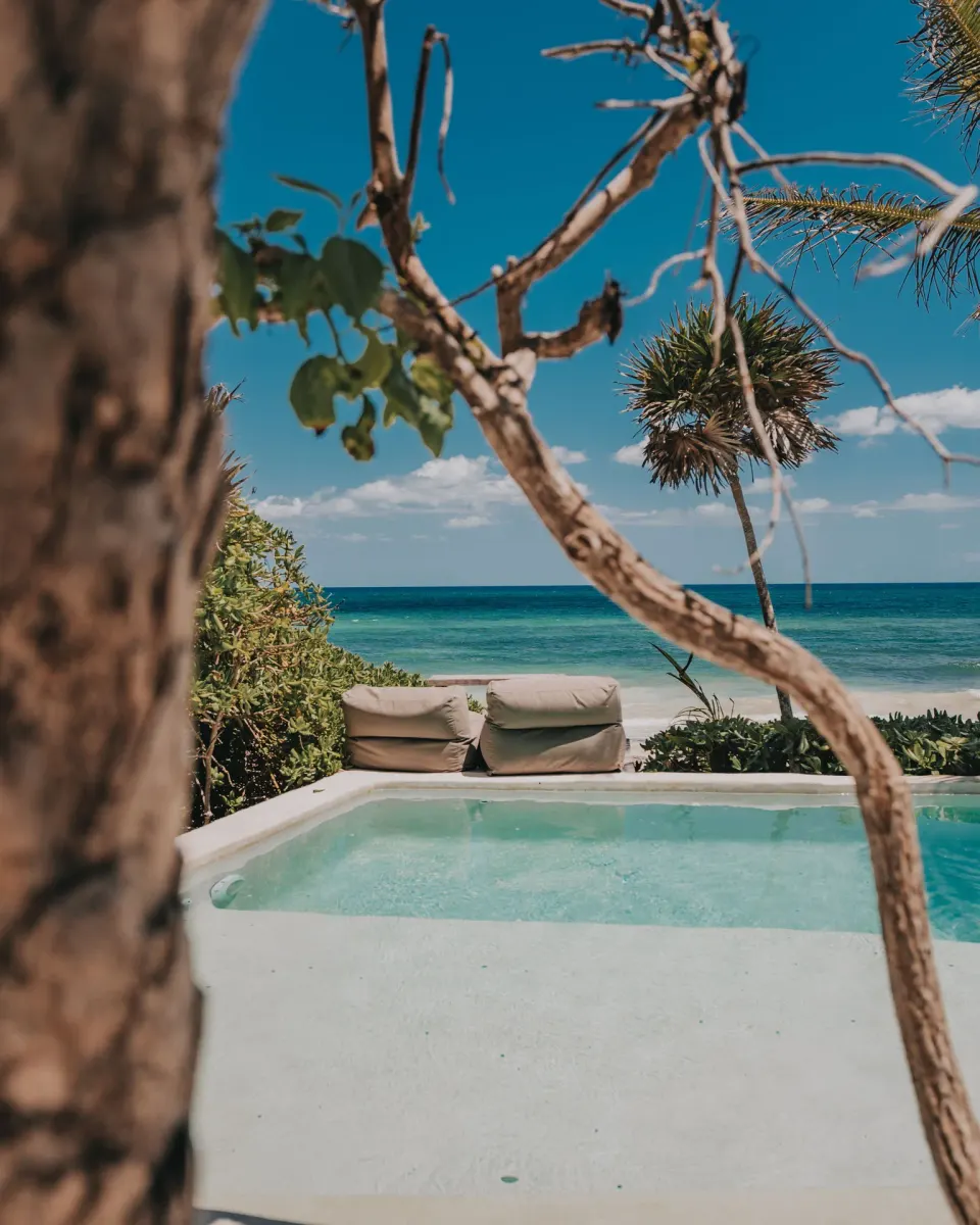 Private plunge pool with loungers and ocean view framed by tree branches at Papaya Playa Project