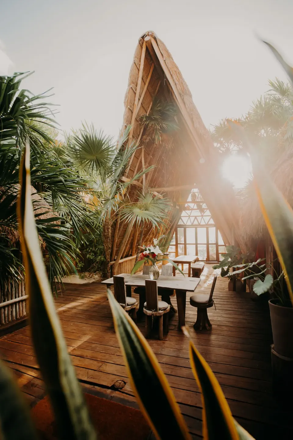 A-frame palapa dining table surrounded by tropical plants at Papaya Playa Project