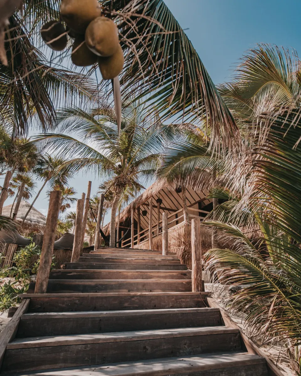 Wooden steps lined with palms leading up to Casa Viento at Papaya Playa Project
