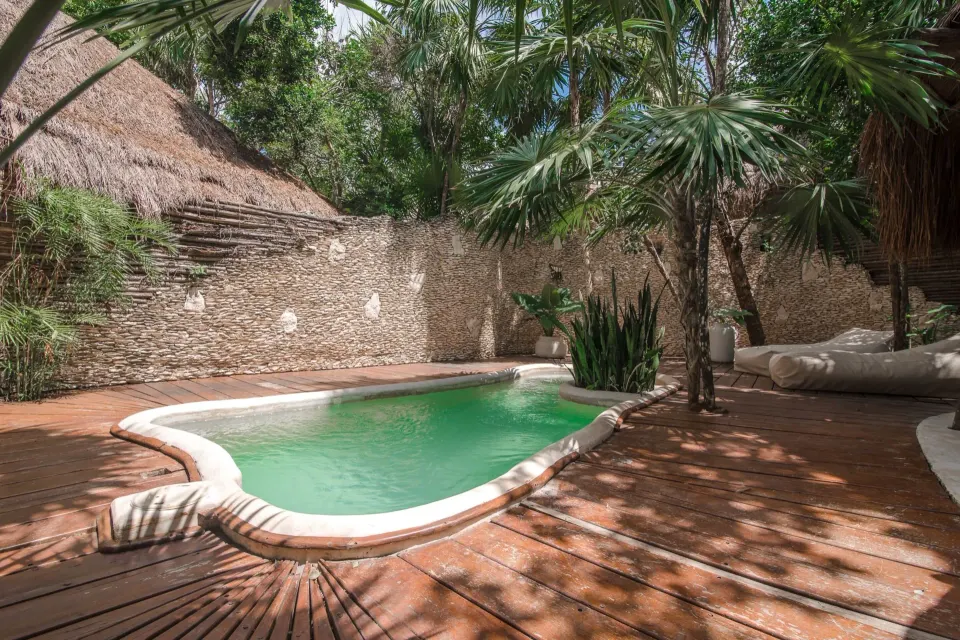 Curved private plunge pool on wooden deck framed by palm trees at Papaya Playa Project