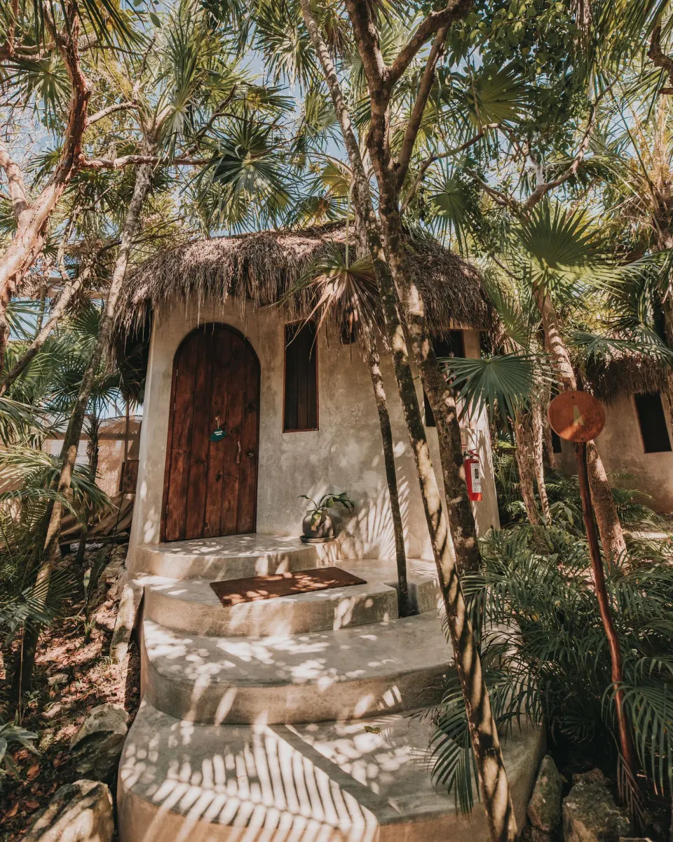 Concrete steps and wooden door of a casita surrounded by palms at Papaya Playa Project