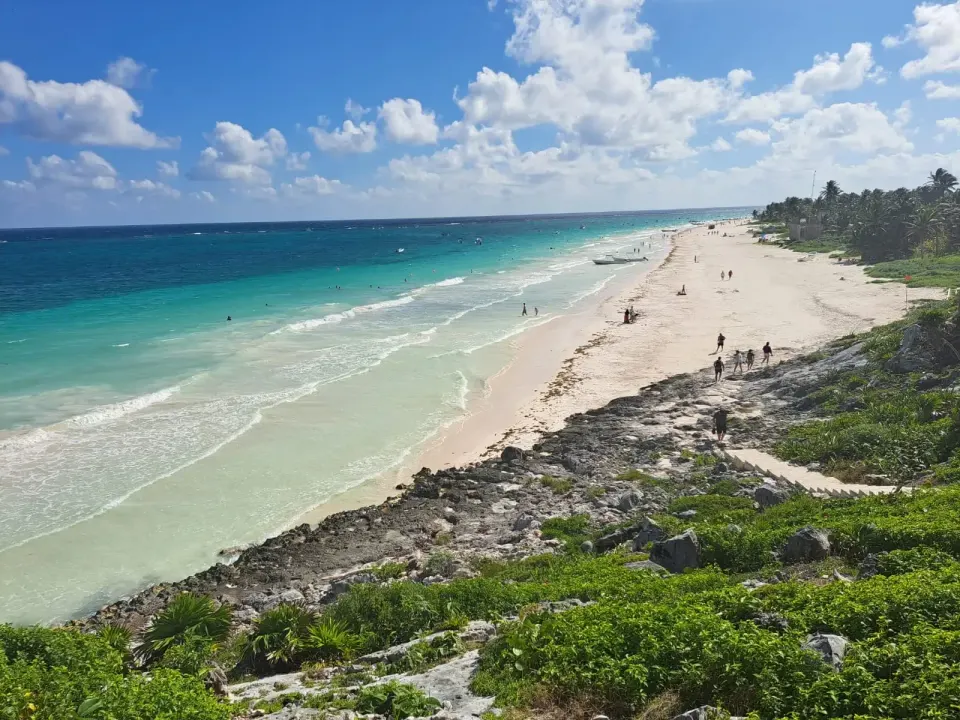Jaguar Viewpoint Tulum