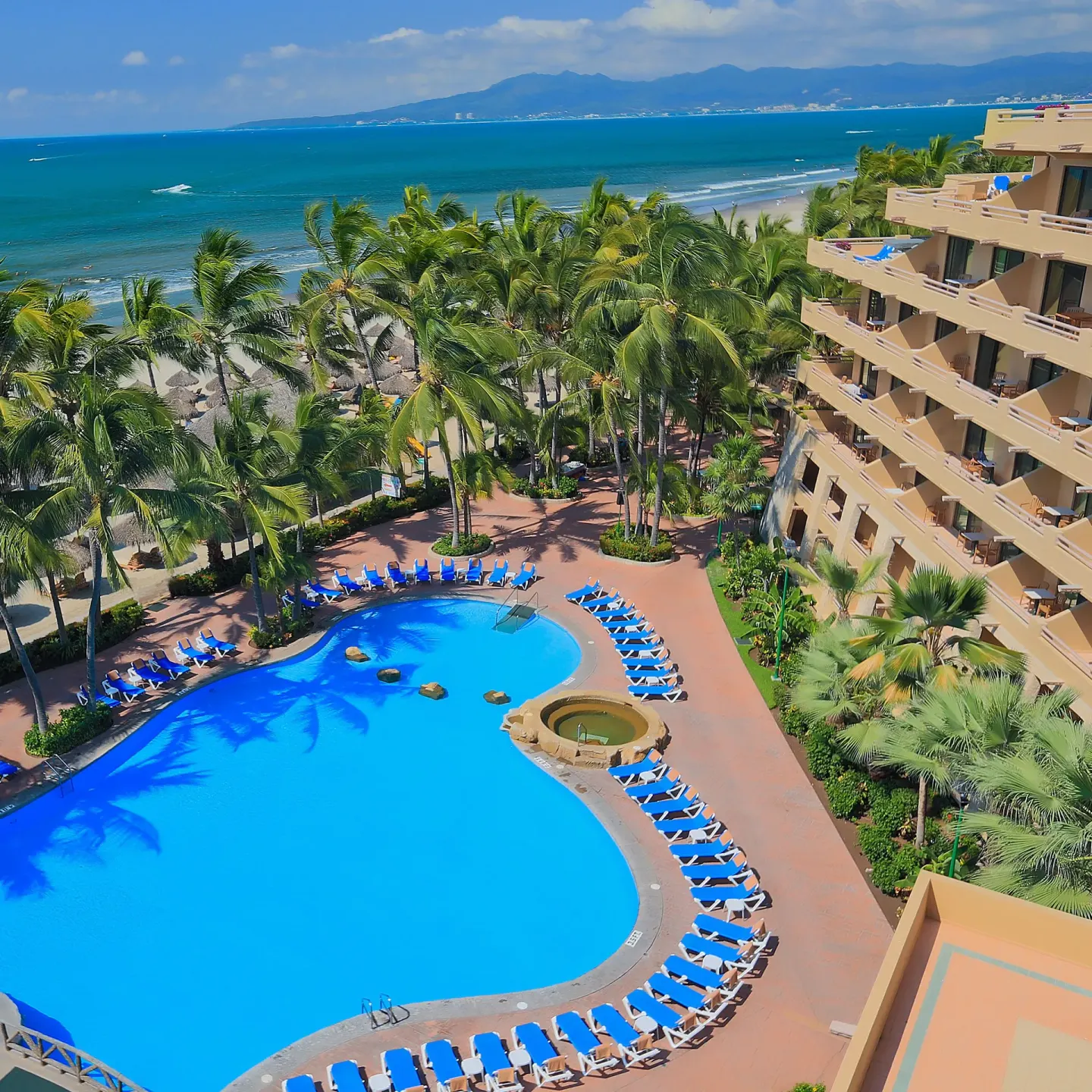 Aerial view of the beachfront pool and palms at Paradise Village Beach Resort and Spa.
