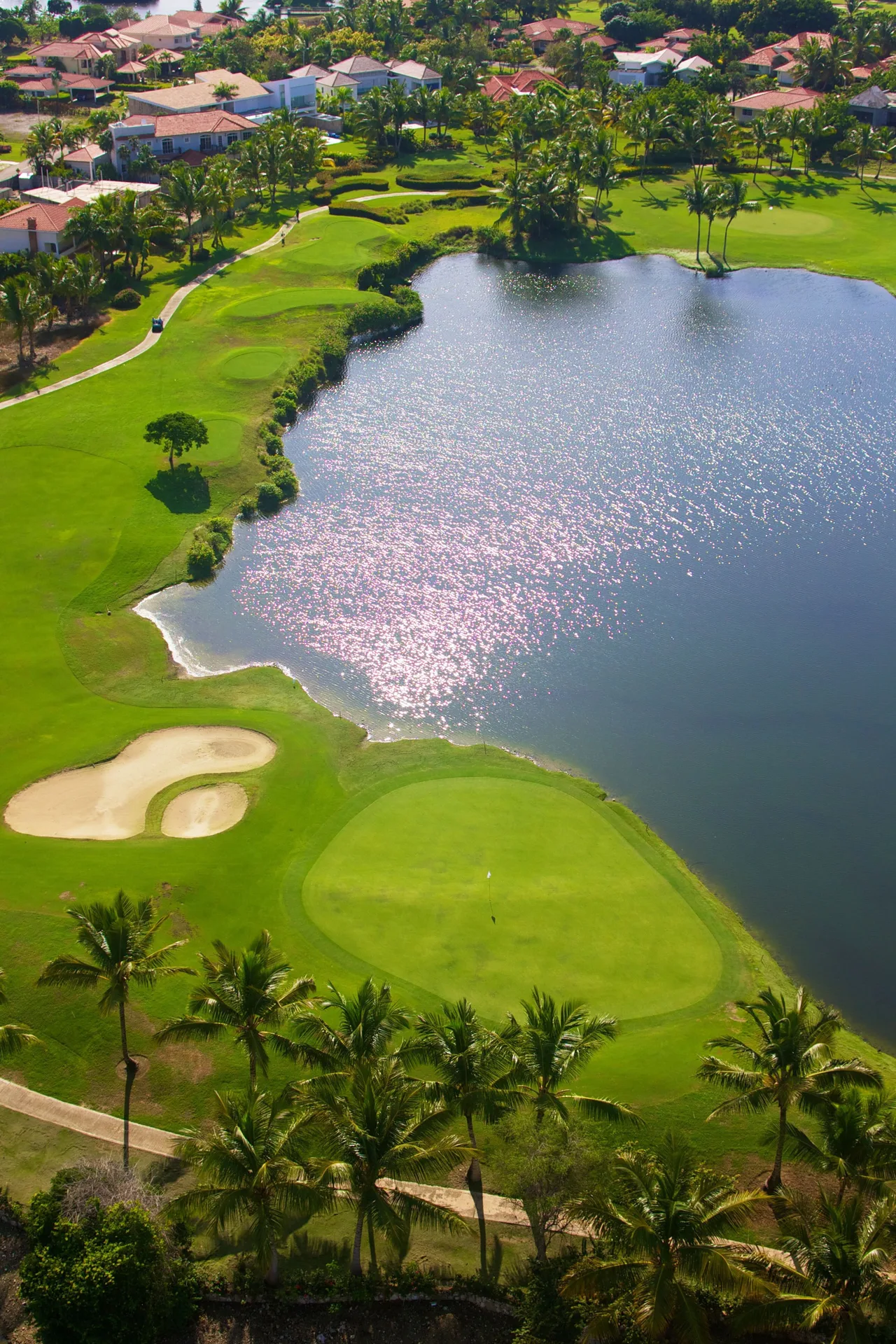 Aerial golf course view with lake, green, and palms at Paradisus Grand Cana.