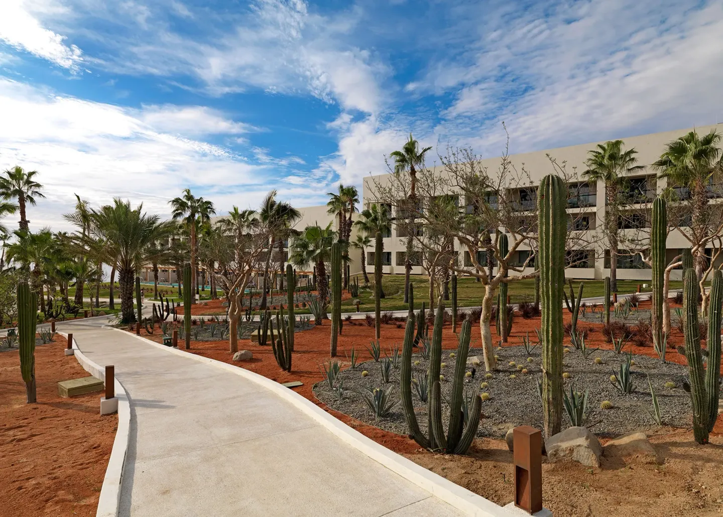 Desert garden walkway with palms, cacti, and resort buildings at Paradisus Los Cabos.