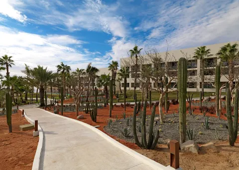 Desert garden walkway with palms, cacti, and resort buildings at Paradisus Los Cabos.