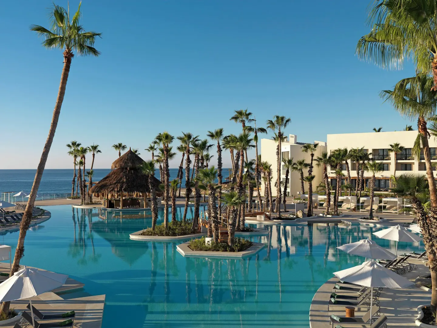 Wide view of the main pool, palms, and ocean at Paradisus Los Cabos.