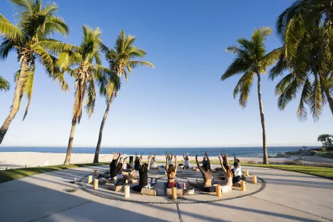 Outdoor group yoga circle under palm trees at Paradisus Los Cabos.