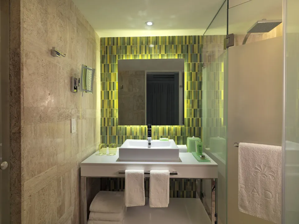 Junior Suite bathroom vanity and glass shower at Paradisus Los Cabos.