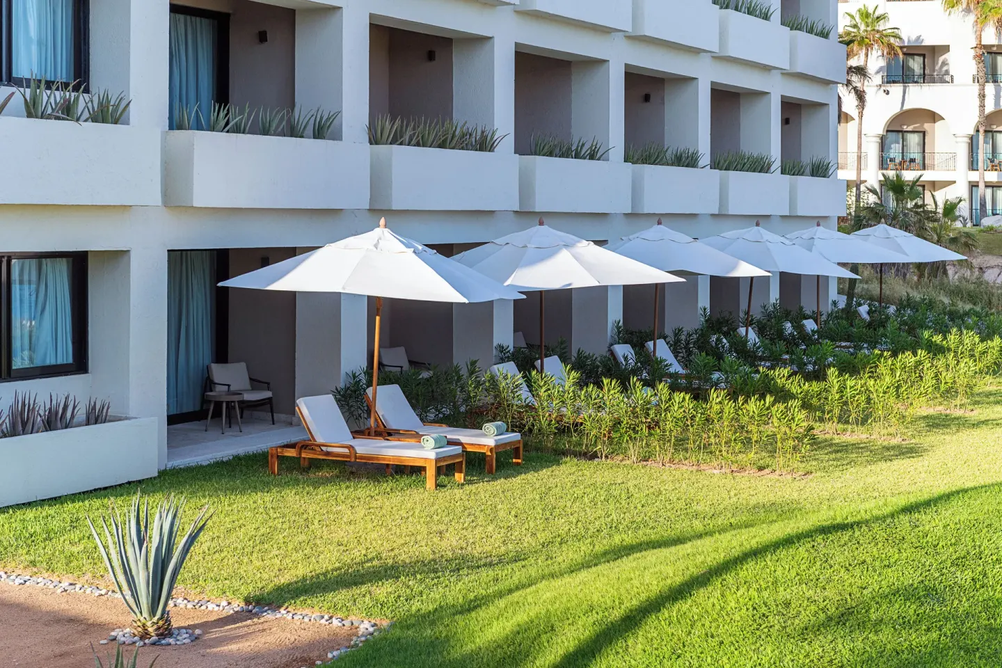 Ground-floor Reserve Suite solarium loungers and umbrellas at Paradisus Los Cabos.