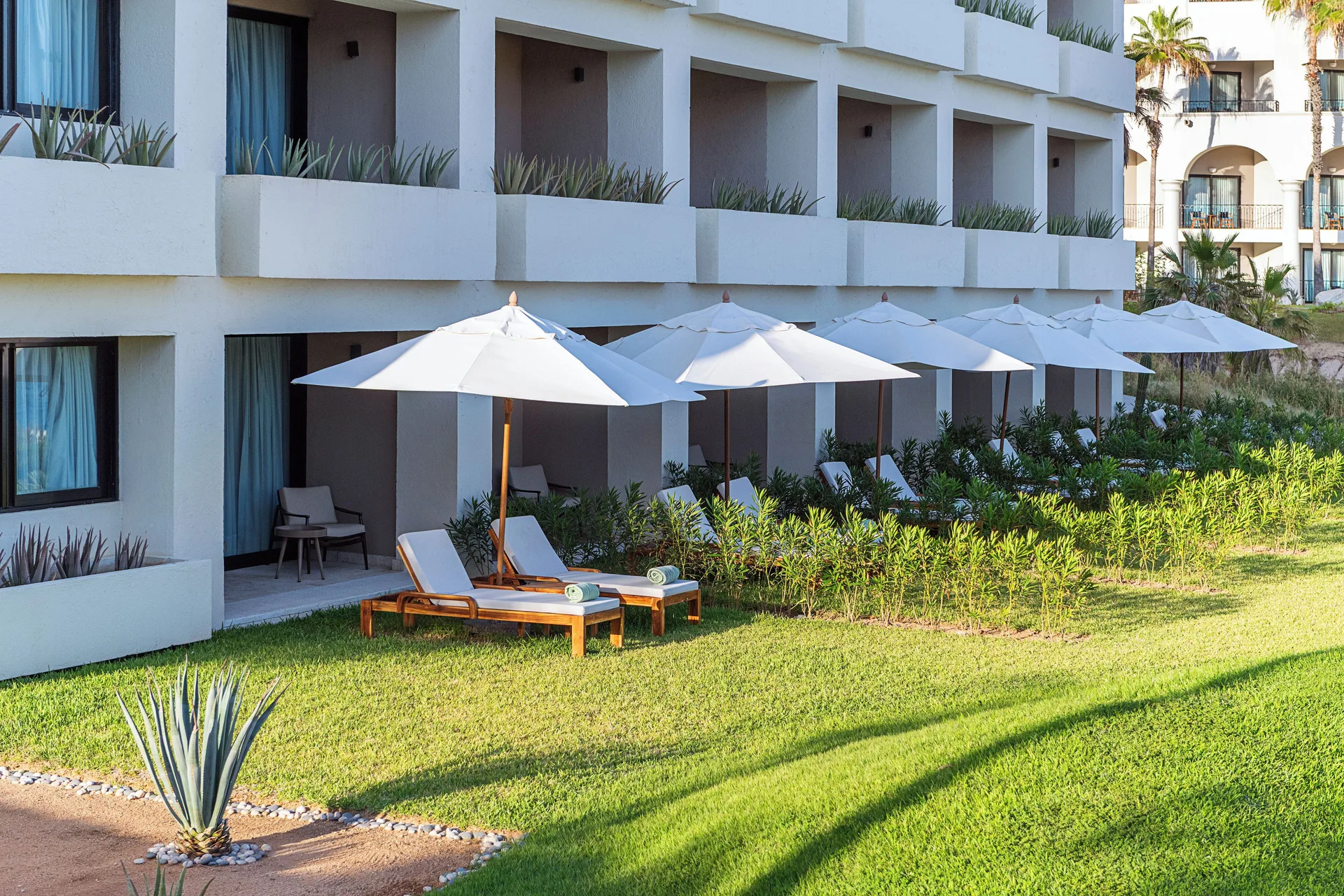 Ground-floor Reserve Suite solarium loungers and umbrellas at Paradisus Los Cabos.