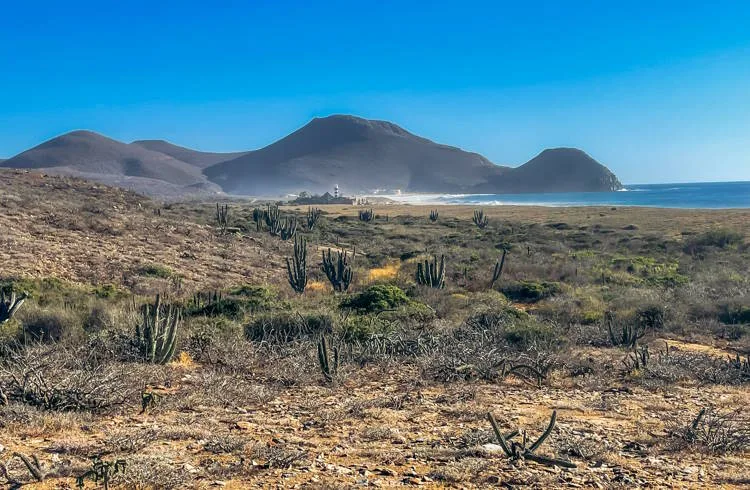 Desert Park Natural Reserve 10 Min Walk
