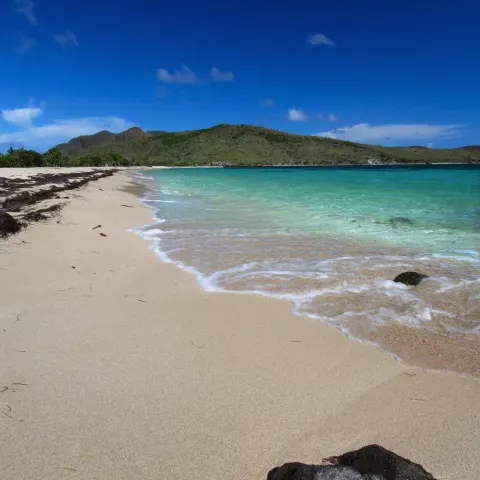 Major S Bay Beach 5 Min Drive
