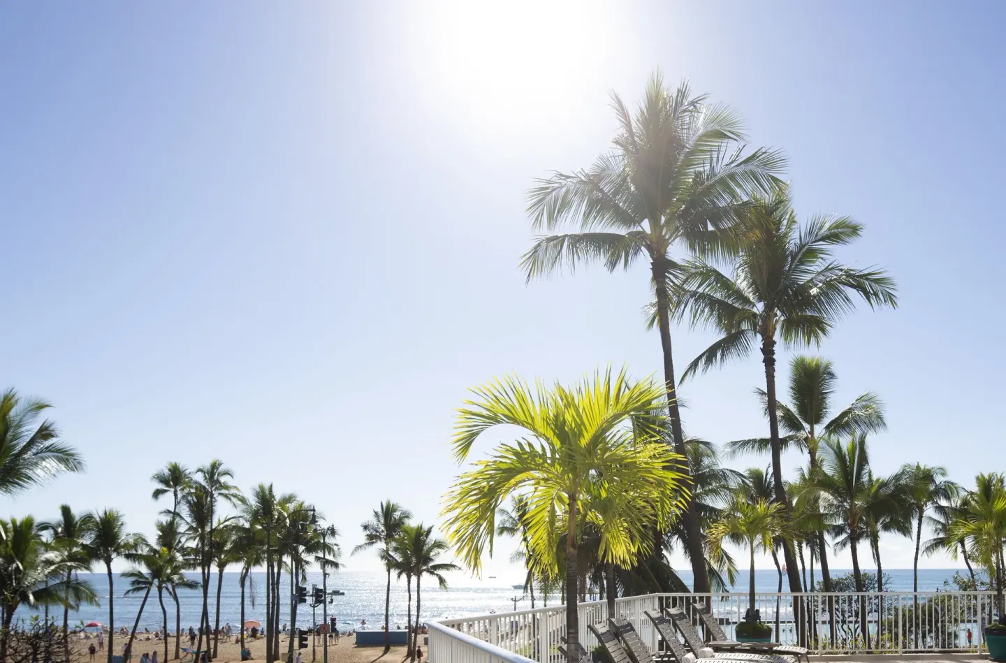 Palm trees and oceanfront terrace in bright sun at Park Shore Waikiki.