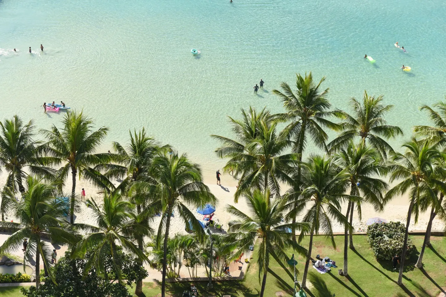 Aerial view of Waikiki Beach palms and shallow turquoise water at Park Shore Waikiki.