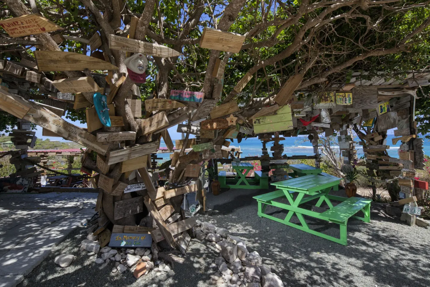 Rustic outdoor seating with signed wooden boards in the trees at Pineapple Beach Club Antigua.