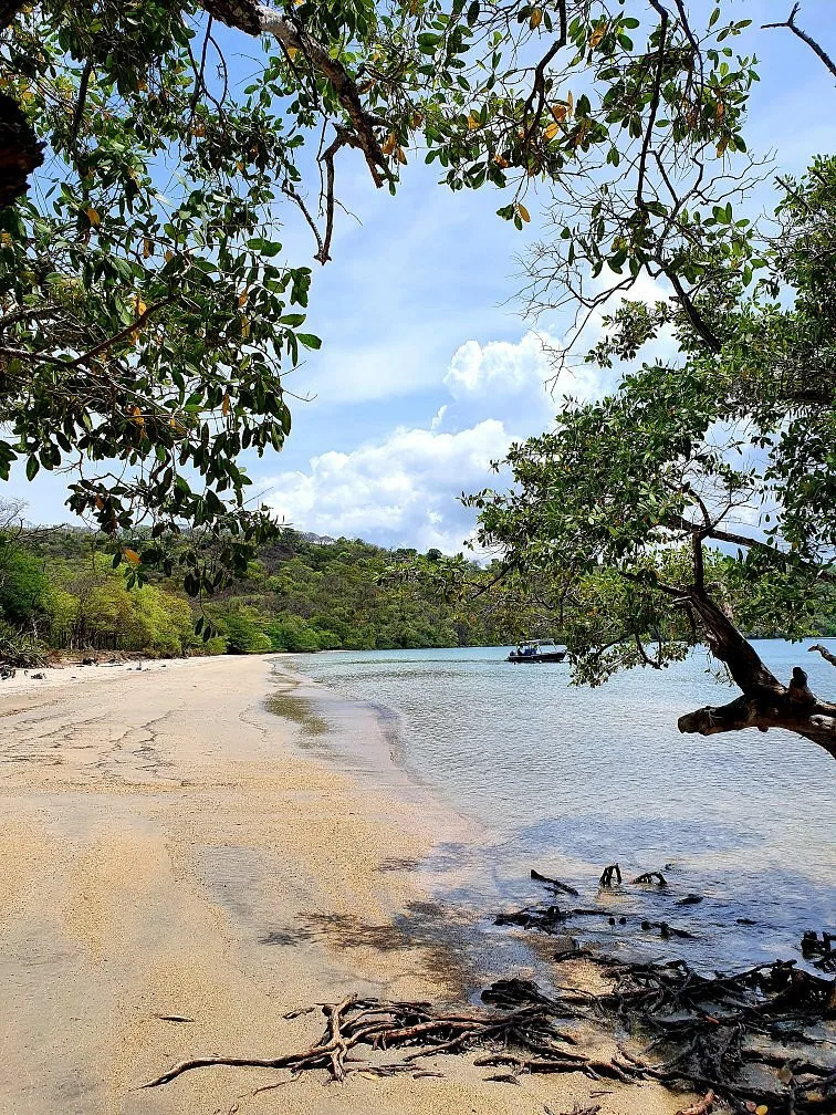 Playa Nacascolo 5 Min Walk