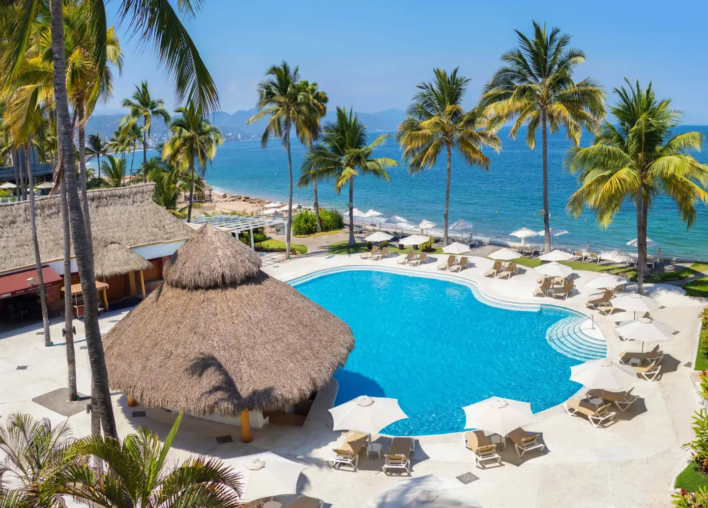 Oceanfront pool with palms and loungers at Plaza Pelicanos Club Beach Resort.