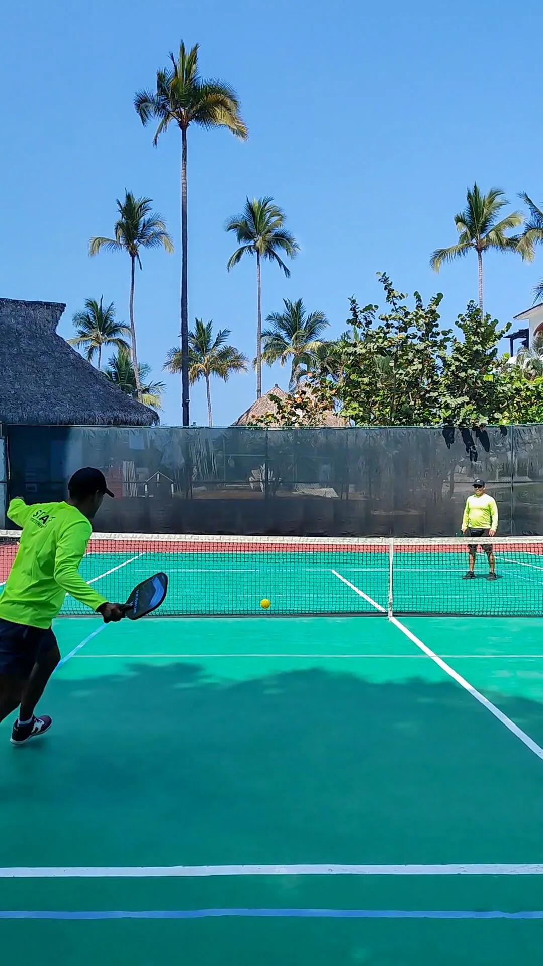 Guests play pickleball on a palm-lined court at Plaza Pelicanos Club Beach Resort.