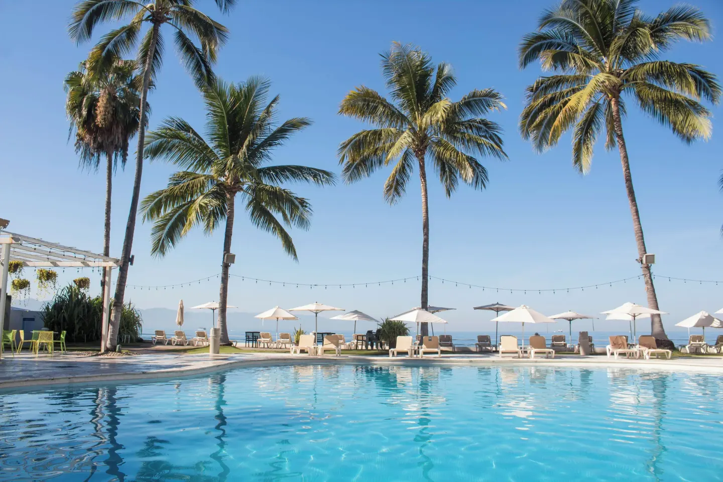 Palm-lined oceanfront pool at Plaza Pelicanos Club Beach Resort with loungers and umbrellas.