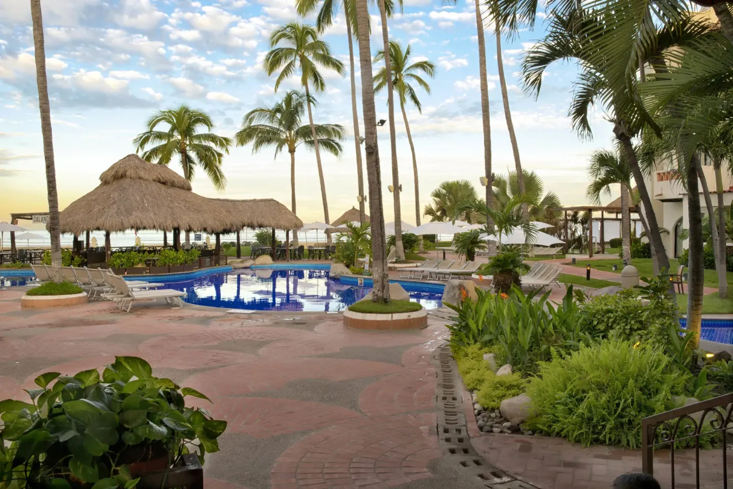 Garden walkway, palms, and pool area at Plaza Pelicanos Grand Beach Resort.