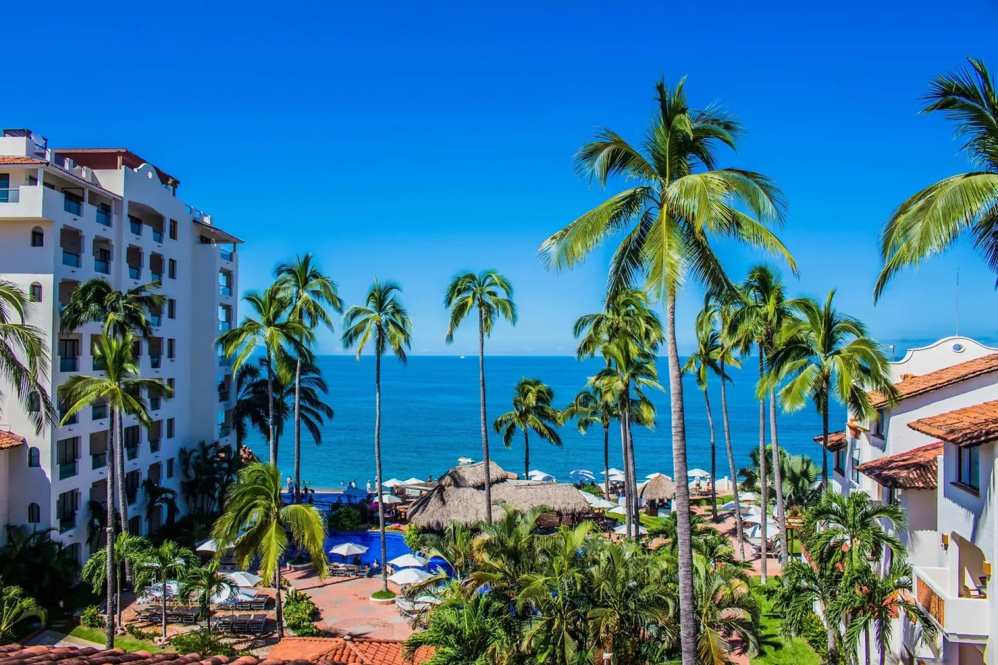 Ocean-facing resort buildings and palms at Plaza Pelicanos Grand Beach Resort.