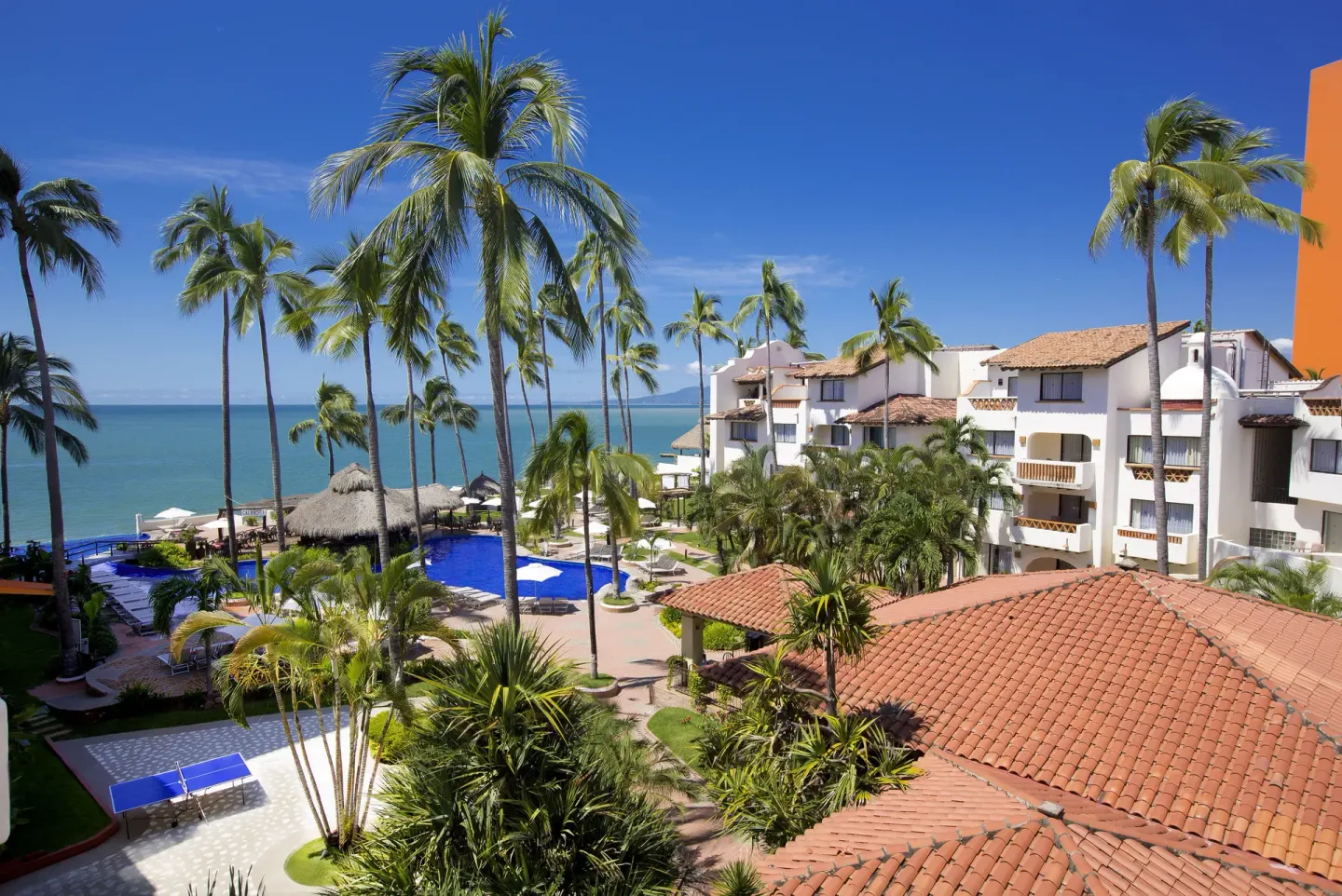 Palm-filled resort courtyard and pool near the ocean at Plaza Pelicanos Grand Beach Resort.