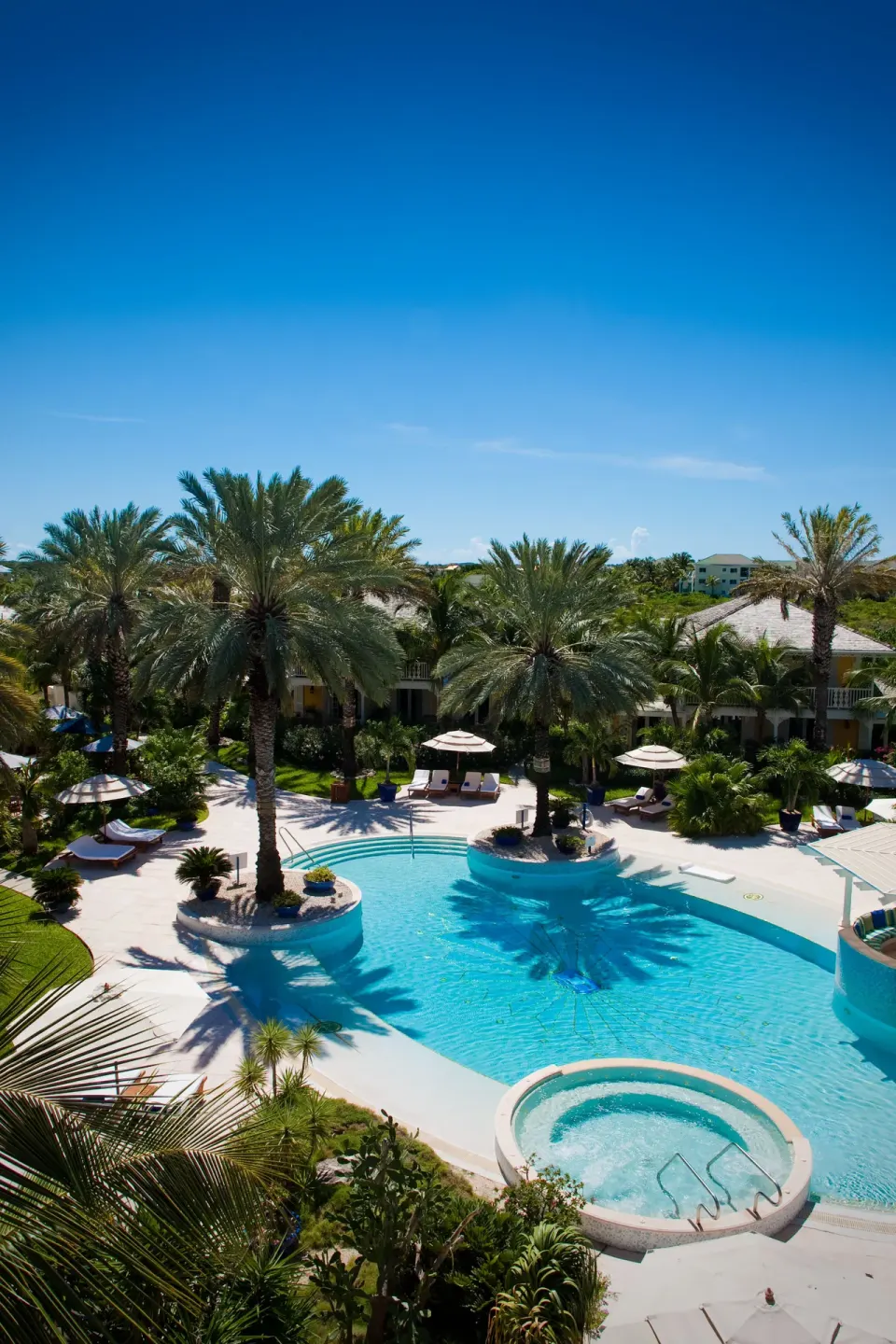 Palm-lined resort pool with loungers and umbrellas at Point Grace.