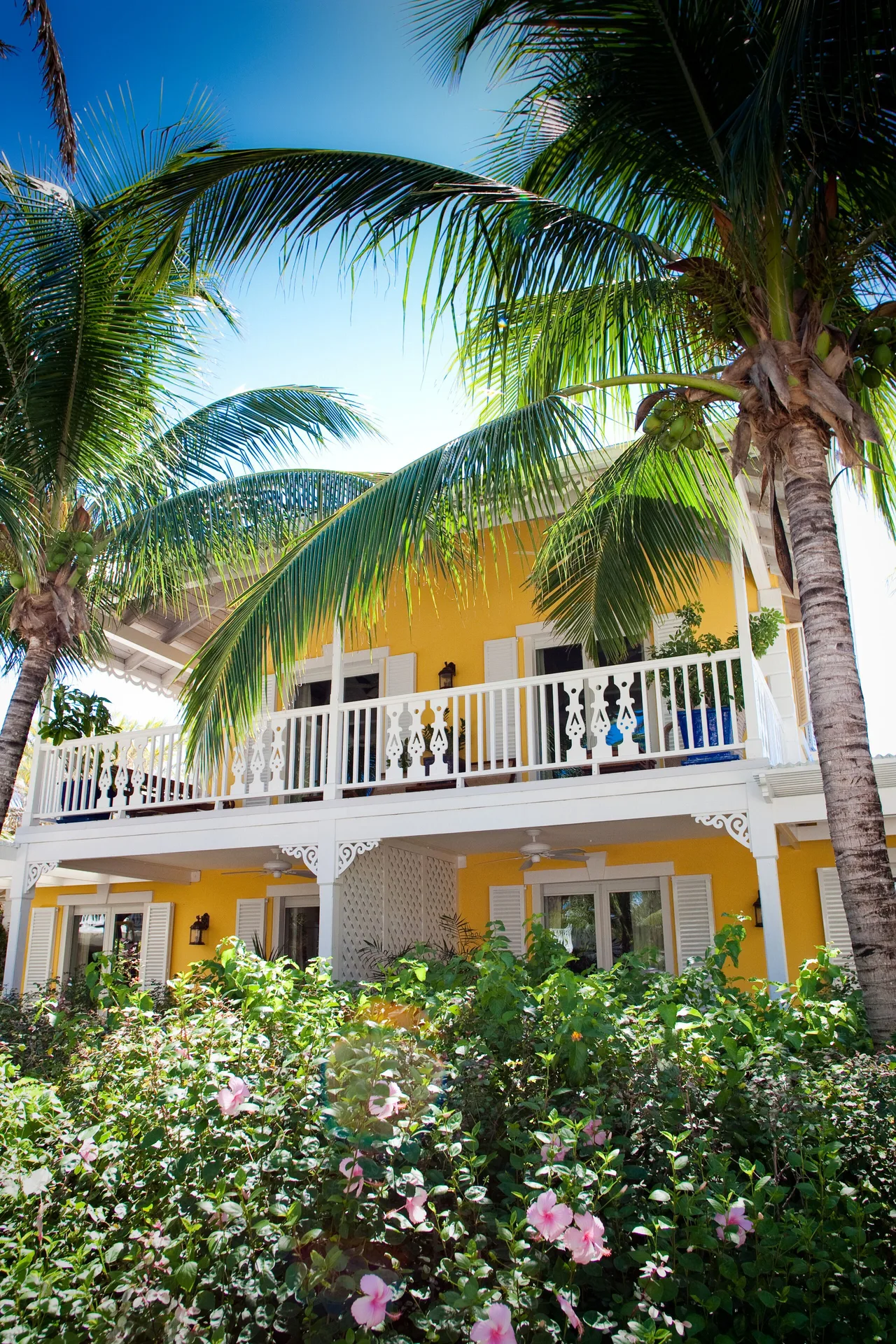 Yellow resort building with white balconies behind palms and flowering shrubs at Point Grace.