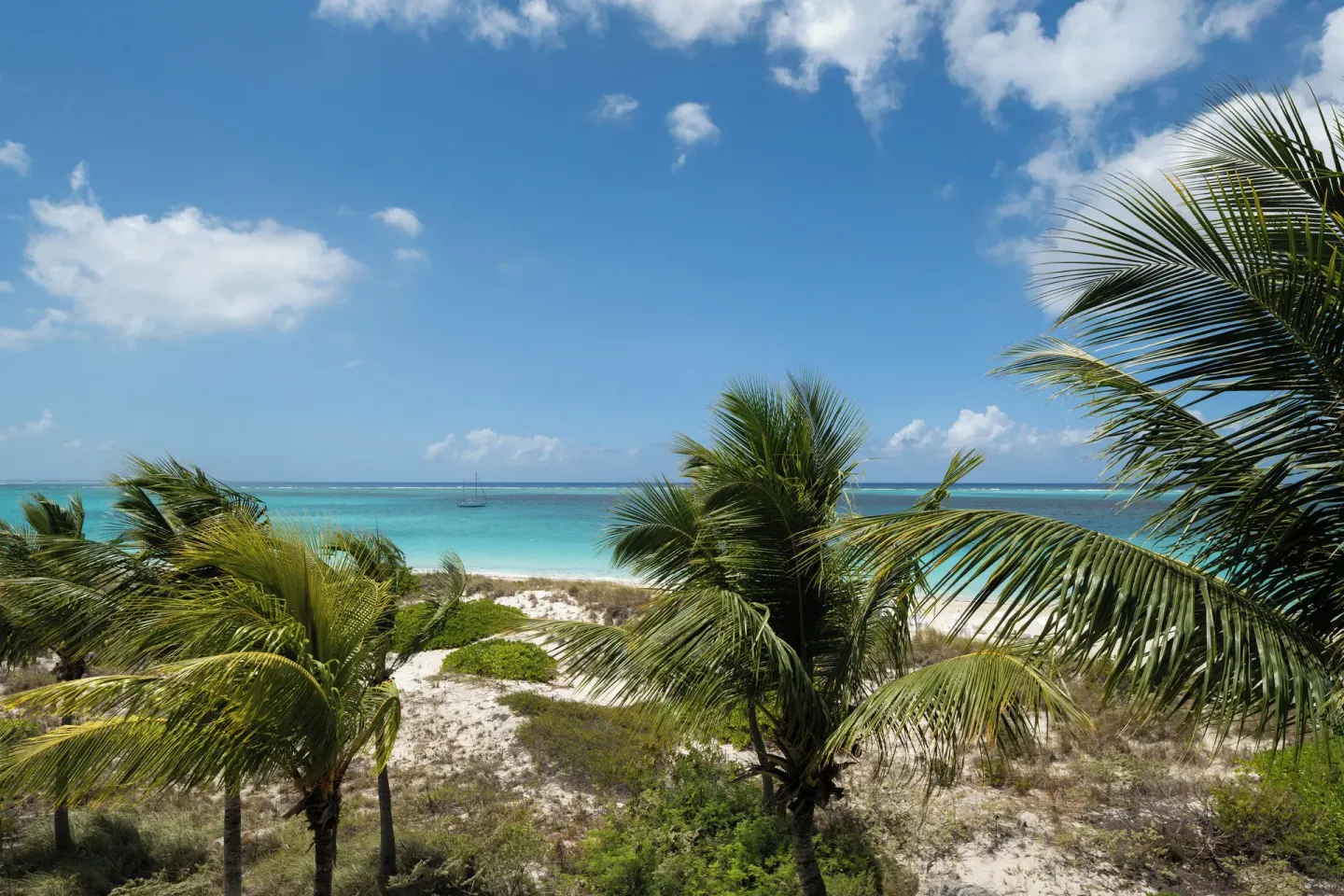 Oceanfront view with palms, sand dunes, and turquoise water at Point Grace.